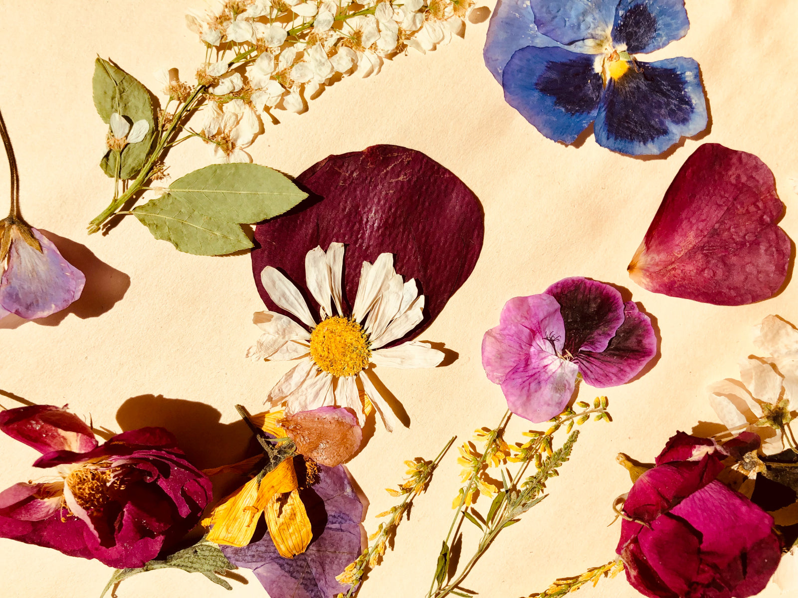 Sarah Jacobsen & Xanadu Jewellery