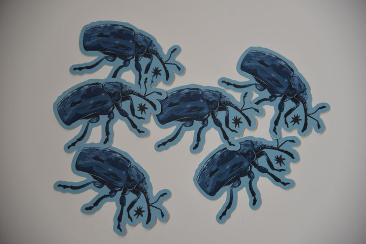 Weevil Sticker
