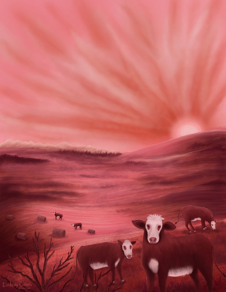 Pink Prairies